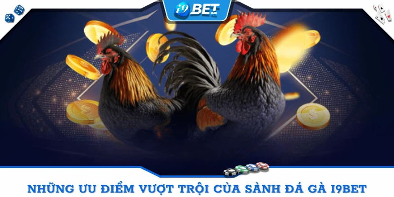 Sảnh cược Đá gà I9BET cùng những ưu điểm vượt trội